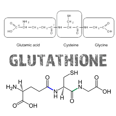 Glutathione: Exciting Potential in Cardiovascular Health for 2023